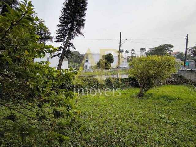 #1831 - Terreno para Venda em São José - SC - 3