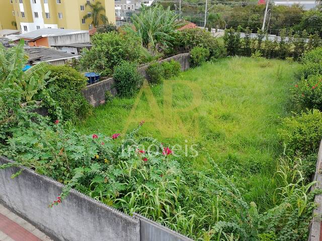 #1985 - Terreno para Venda em São José - SC - 1