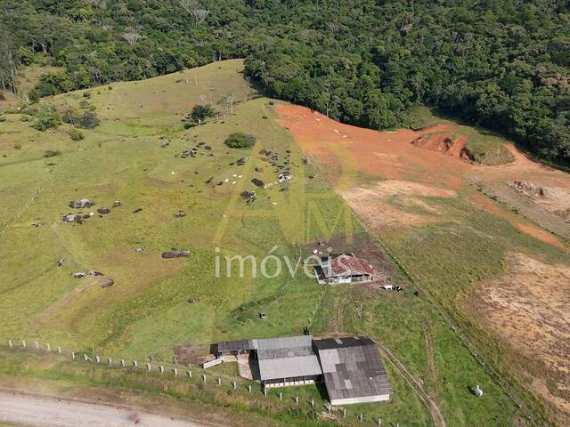 Terreno para Venda em São José - 4