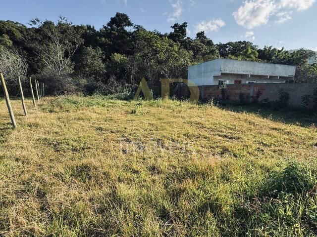 Terreno para Venda em São José - 4