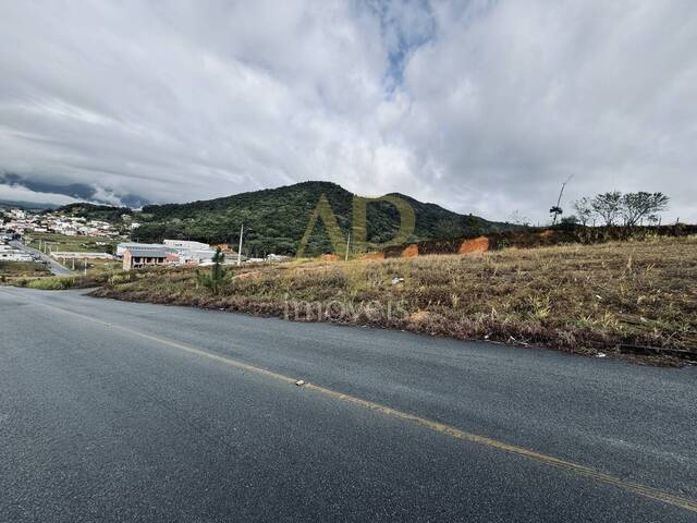 #2049 - Terreno para Venda em Palhoça - SC - 1