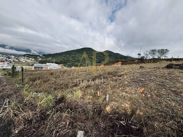 Terreno para Venda em Palhoça - 5