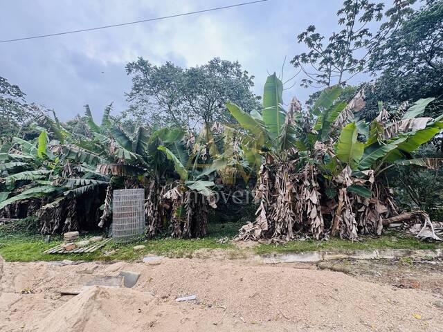 Terreno para Venda em Biguaçu - 5