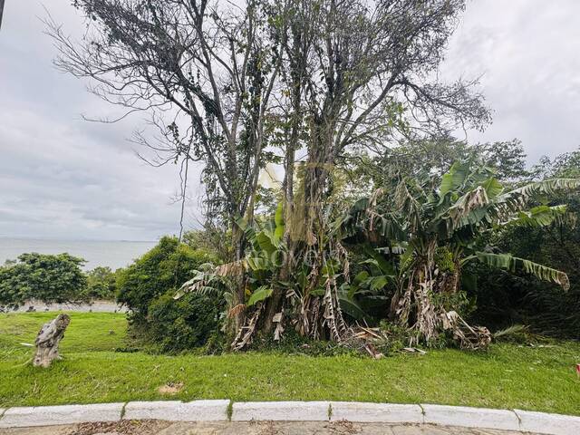 #2106 - Área para Venda em Biguaçu - SC - 3