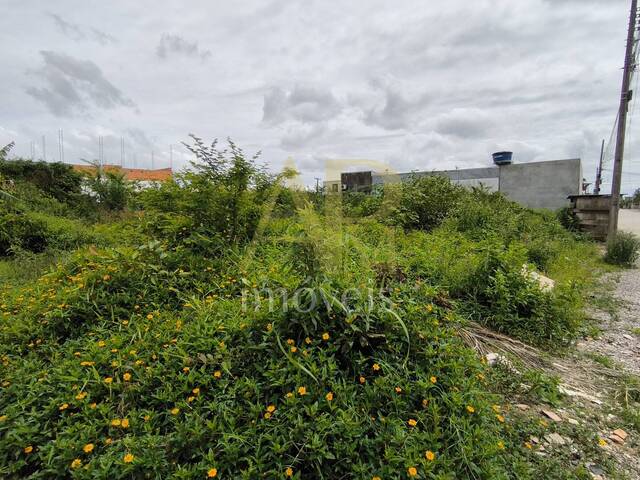 Terreno para Venda em Palhoça - 4
