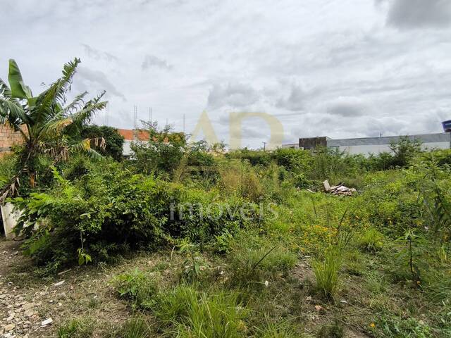 Terreno para Venda em Palhoça - 5
