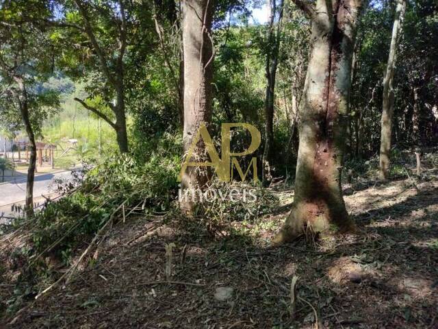 #1209 - Terreno para Venda em São José - SC - 3