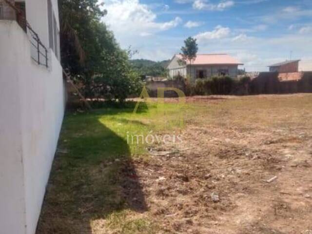 #145 - Terreno para Venda em Palhoça - SC - 3