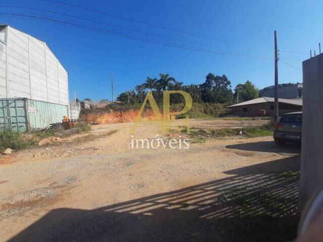 #1661 - Terreno para Venda em Palhoça - SC - 3